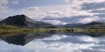 david attenborough landscape GIF by Head Like an Orange