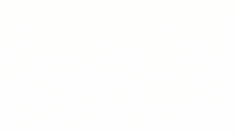 cardano_women  GIF