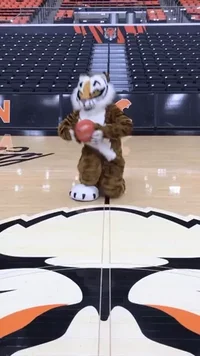 Go Tigers Basketball GIF by Princeton University