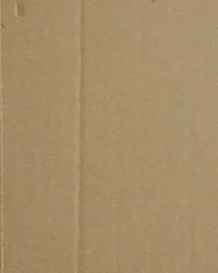 Stop Motion Love GIF by cintascotch