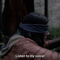 Listen Bird Box GIF by NETFLIX