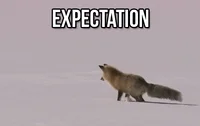 Expectation GIF
