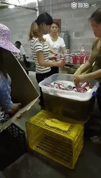 China Beer GIF by Mashable