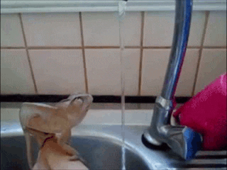 Life GIF