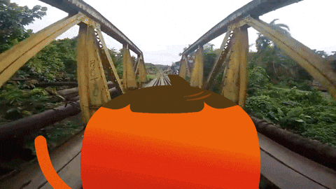 idamega  GIF