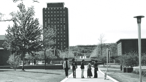 GIF by Binghamton University