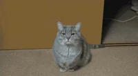 Boring Week GIF
