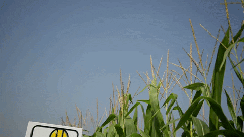 agreliant  GIF