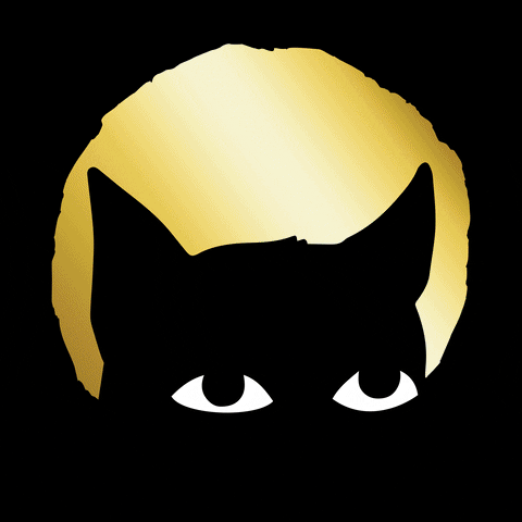 GUTTERCATGANG  GIF