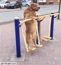 Morning Exercises GIF