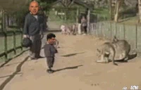 Mir GIF