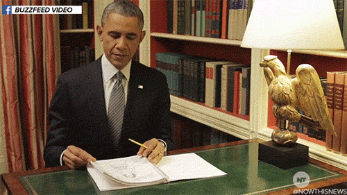 michelle obama news GIF by NowThis 