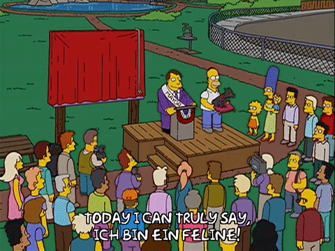 homer simpson cat GIF