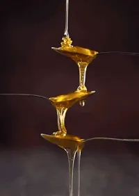 Honey Satisfying GIF