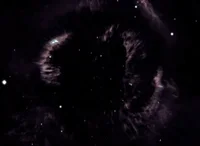 Stephen Hawking GIF