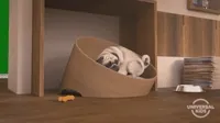 Cartoon gif. A pug sleeps in his basket. Pan to a dog that bolts up and excitedly pants with its tongue hanging out. Text, 