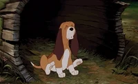 Walt Disney Animation Studios Puppy GIF by Disney