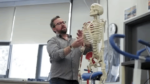 skeleton anatomy GIF by UVic Campus Life