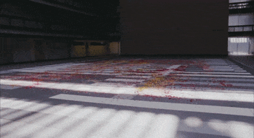 petals GIF by NOWNESS