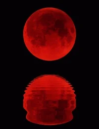 Moon Watch GIF