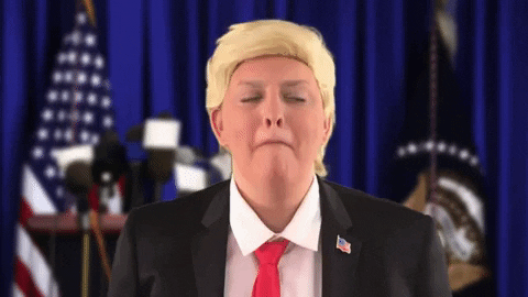 Lying Donald Trump GIF