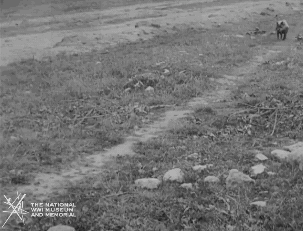 NationalWWIMuseum  GIF