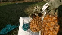 Stoned Pineapples GIF