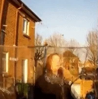 Mo GIF