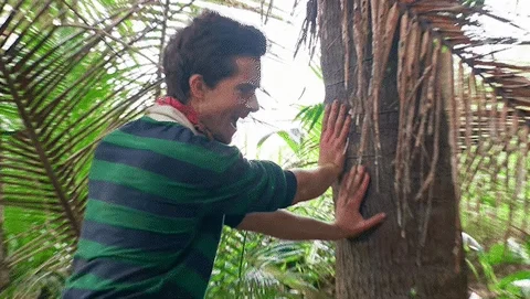 Hide And Seek Omg GIF by Survivor CBS