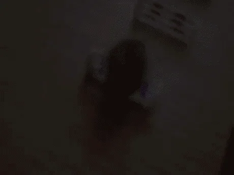 hamster obstacle course GIF