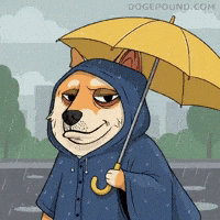 Tired Rainy Day GIF by Doge Pound