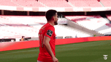 Sl Benfica Dancing GIF by Sport Lisboa e Benfica