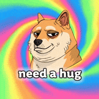 Shiba Inu Dog GIF by Doge Pound