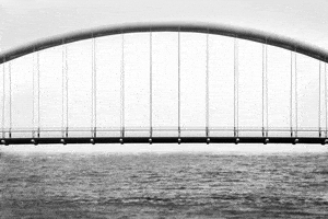 black and white loop GIF by A. L. Crego