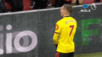 Premier League Love GIF by MolaTV