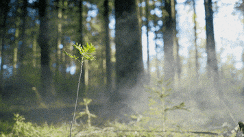 smoke perfect loop GIF by Living Stills