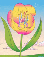 Good Morning Love GIF by PEEKASSO