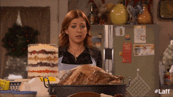 How I Met Your Mother Thanksgiving GIF by Laff
