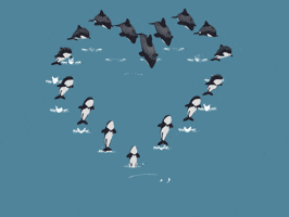 Heart Love GIF