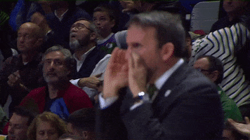 liga endesa basketball GIF by ACB
