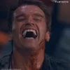 arnold schwarzenegger top GIF by FILMTASTIC via giphy.com