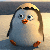 Penguins Of Madagascar Hello GIF Penguins Of Madagascar Hello GIF