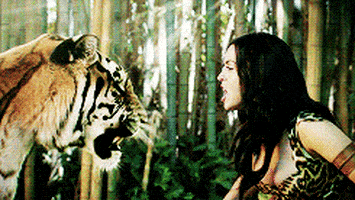 katy perry woman GIF