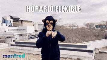 Work Sunglasses GIF by Manfred