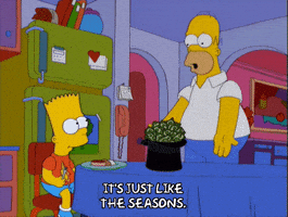 giving homer simpson GIF