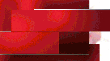 adam levine television GIF by The Voice