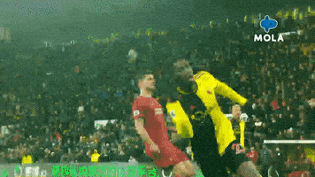 Happy Premier League GIF by MolaTV