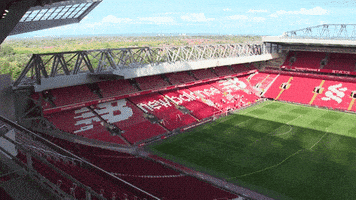 premier league lfc GIF by Liverpool FC