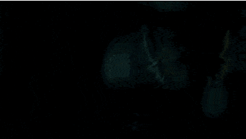 #netflix GIF by Bloodline