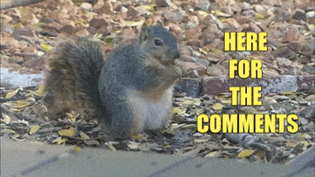 Drama What GIF by Robert E Blackmon